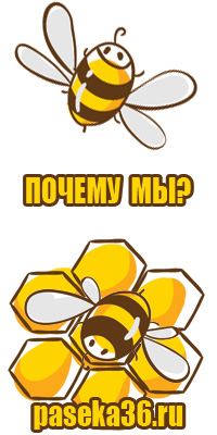 Забрус мед